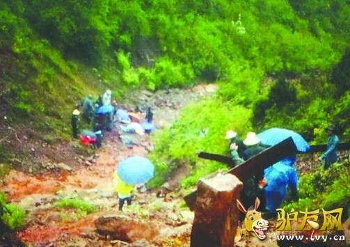 驴友网.jpg